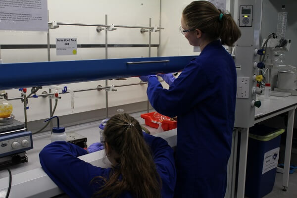 Students working in the teaching laboratory