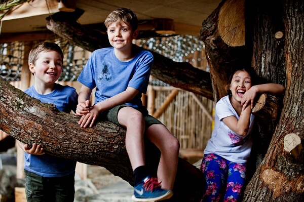 Three children playing in trees at the award winning Williams' Den family visitor attraction