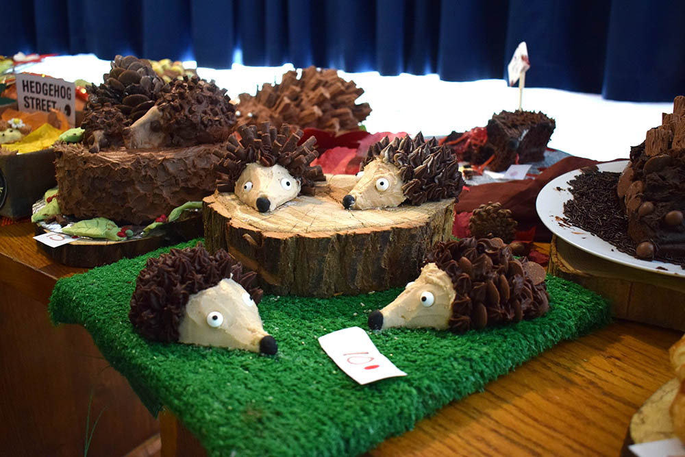 Hedgehog cakes