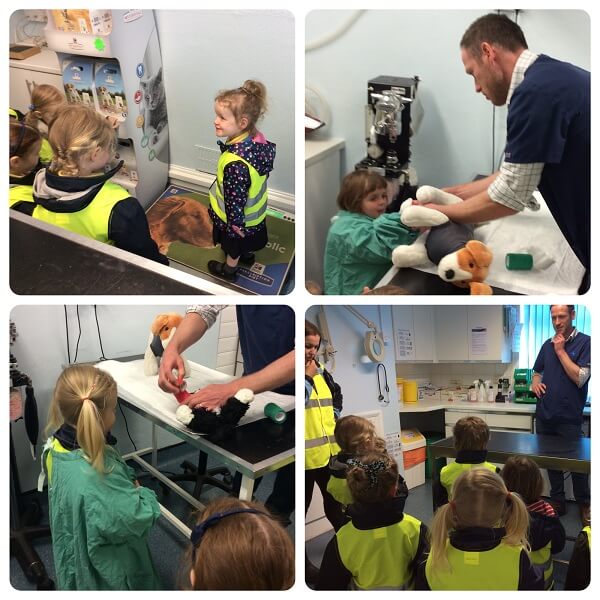 Pre-Prep School children are shown around the facilities and equipment by a vet at Wicstun Veterinary Goup during a school visit