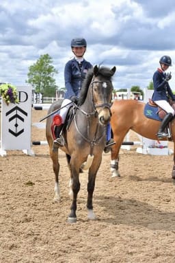 Rider seated on horse in equestrian arena