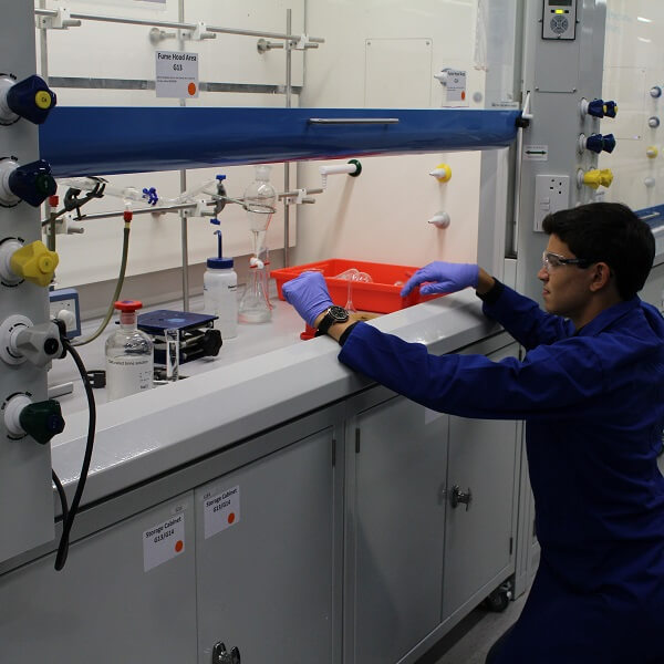 Students working in the teaching laboratory