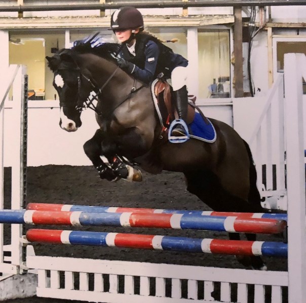 Show jumpers qualify for County NSEA Championships